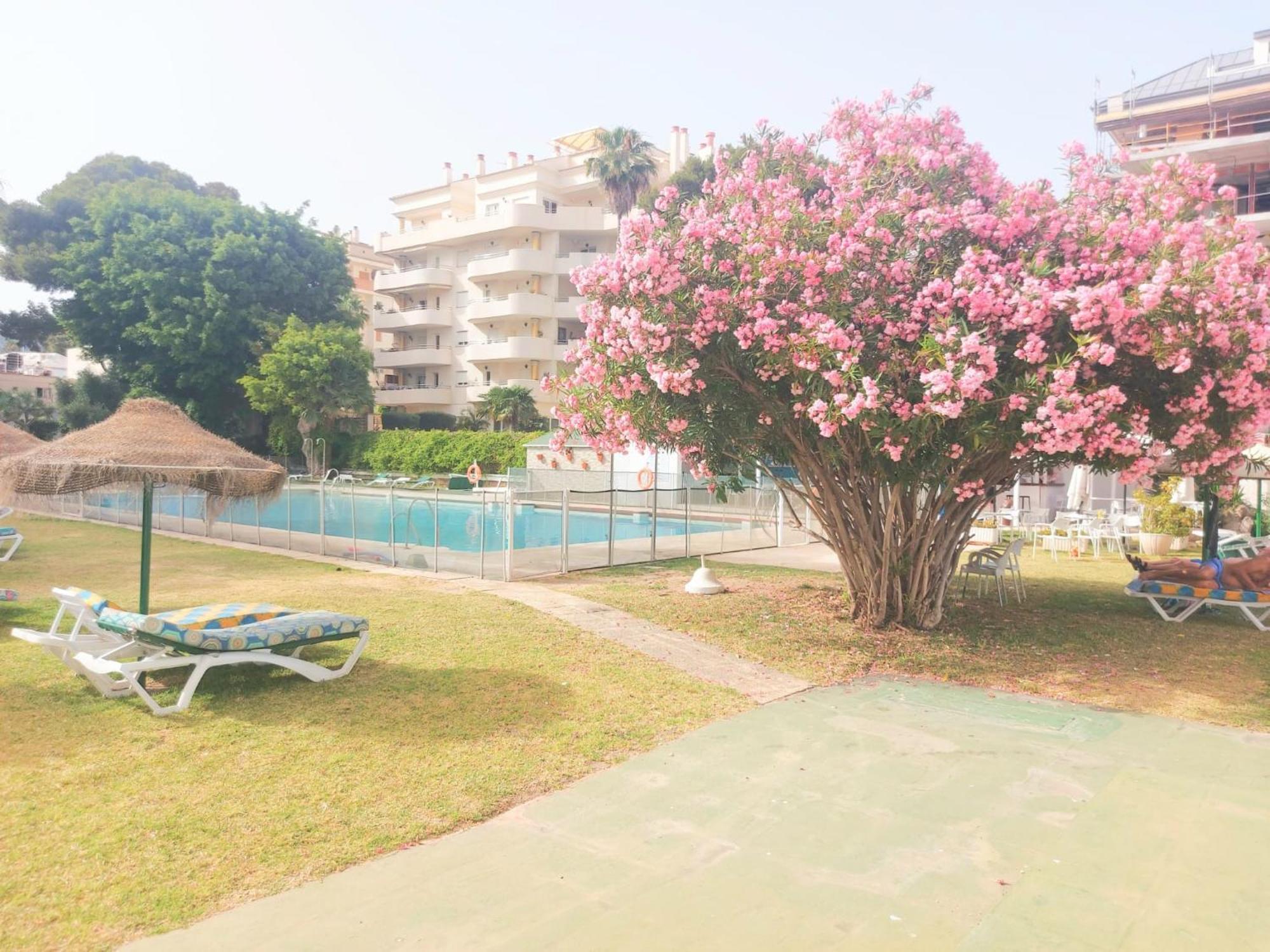Estudio Luminoso En Puerto Marina 베날마데나코스타 외부 사진
